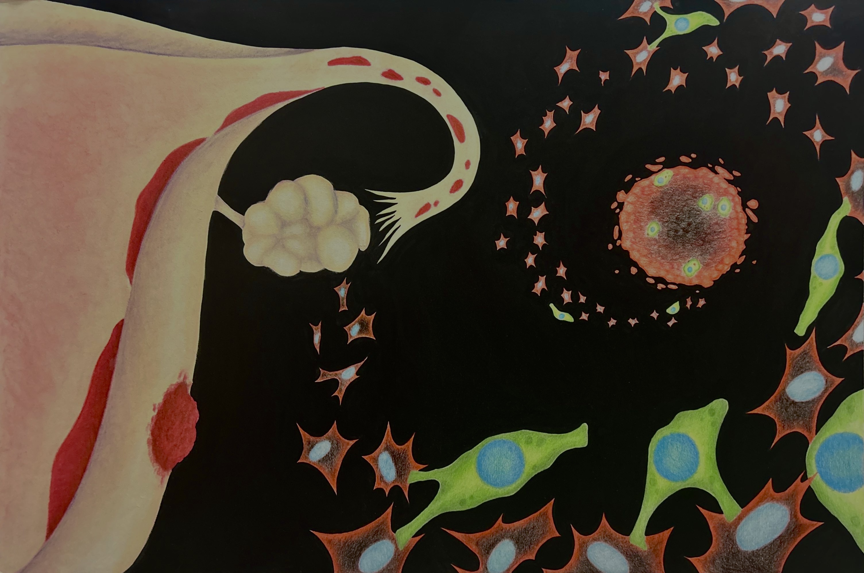 Understudied, Uncleared, Unresolved