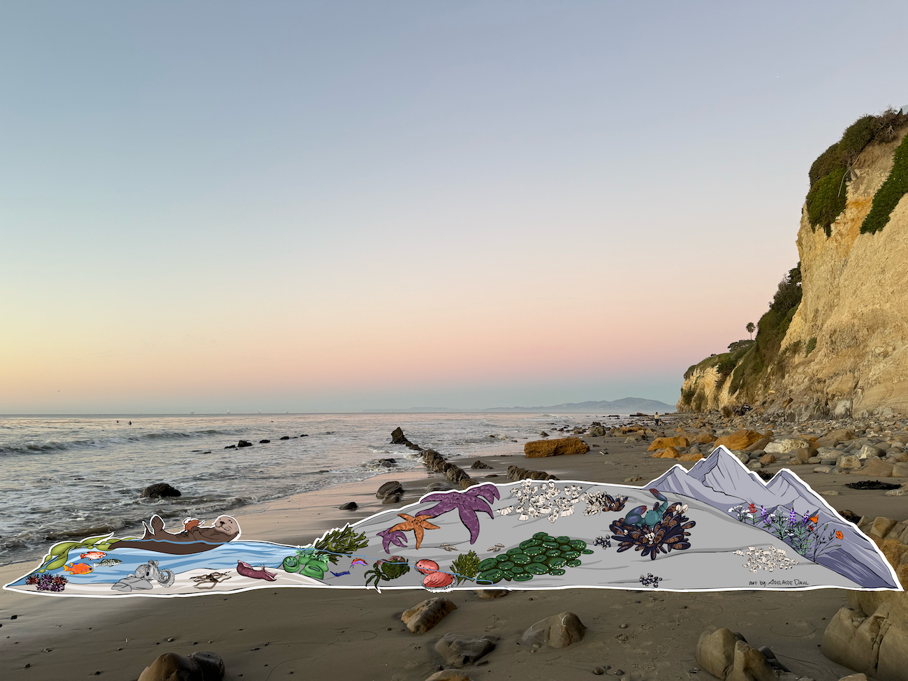 California Intertidal Infinity