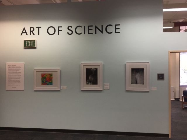 UCSB Library Exhibit