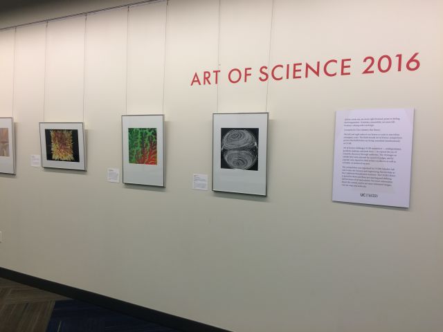 Art of Science 2016
