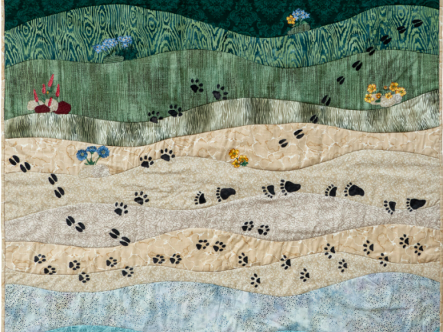 Exhibit on display in the UCSB Library Mountain Gallery