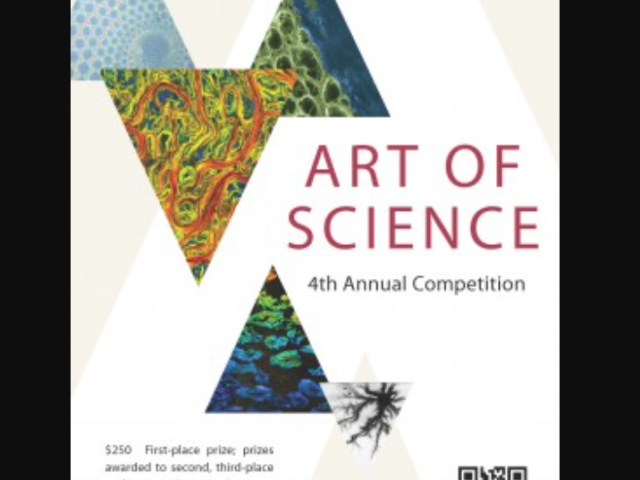 Announcing the Fourth Annual "Art of Science" Competition