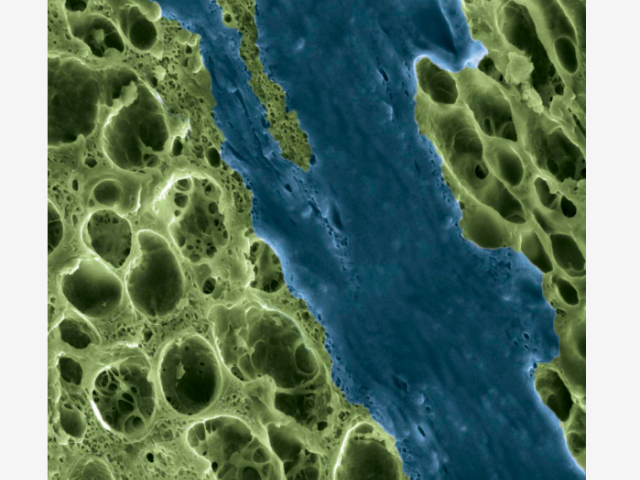 Art of Science Community Outreach